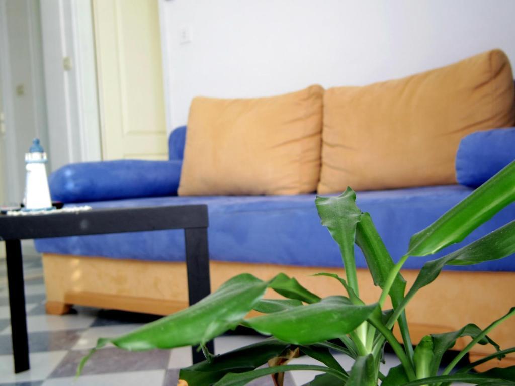 Apartments Capitano Blue 자톤 객실 사진